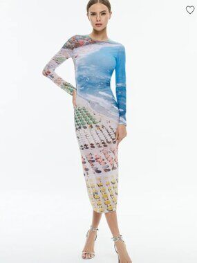 NWOT Alice + Olivia Delora Midi Dress Whispering Waves, 4